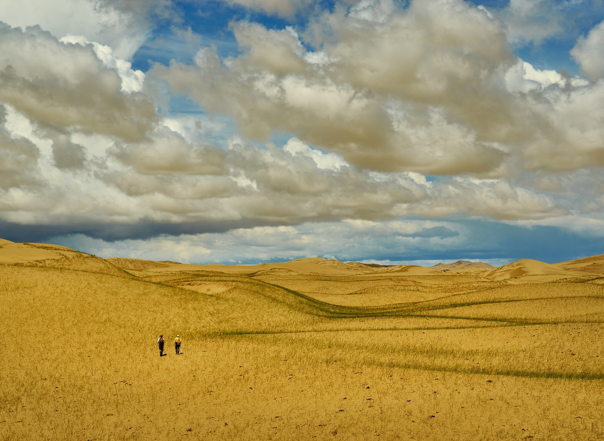 Mongolia. Sands Mongol Els, sandy dune desert, bright sunny day