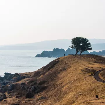 A coastal hiking trail along undulating cliffs. A single figure stands at the headland. 