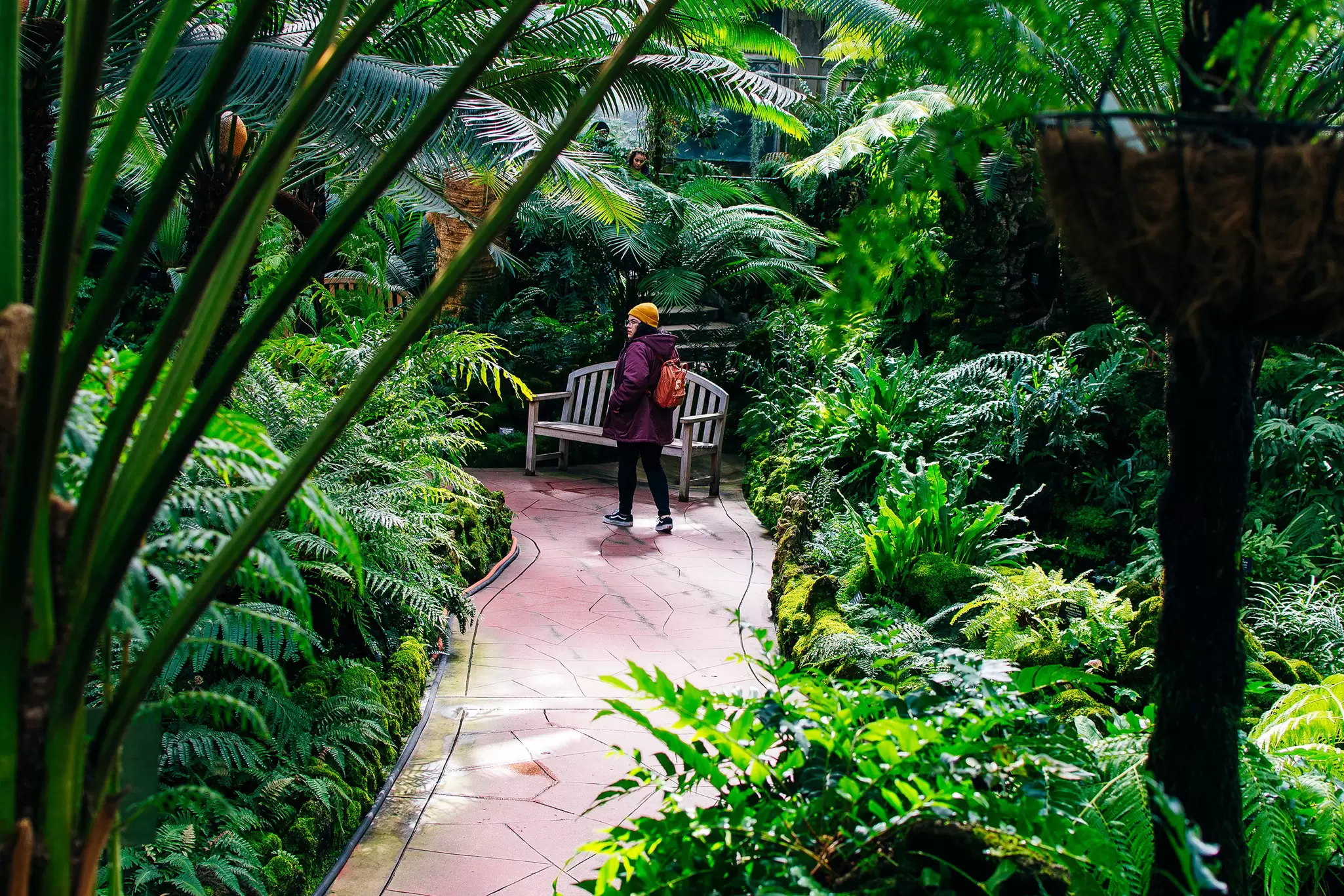 A woman walking inside the Lincoln Park Conservatory in Chicago, Illinois.