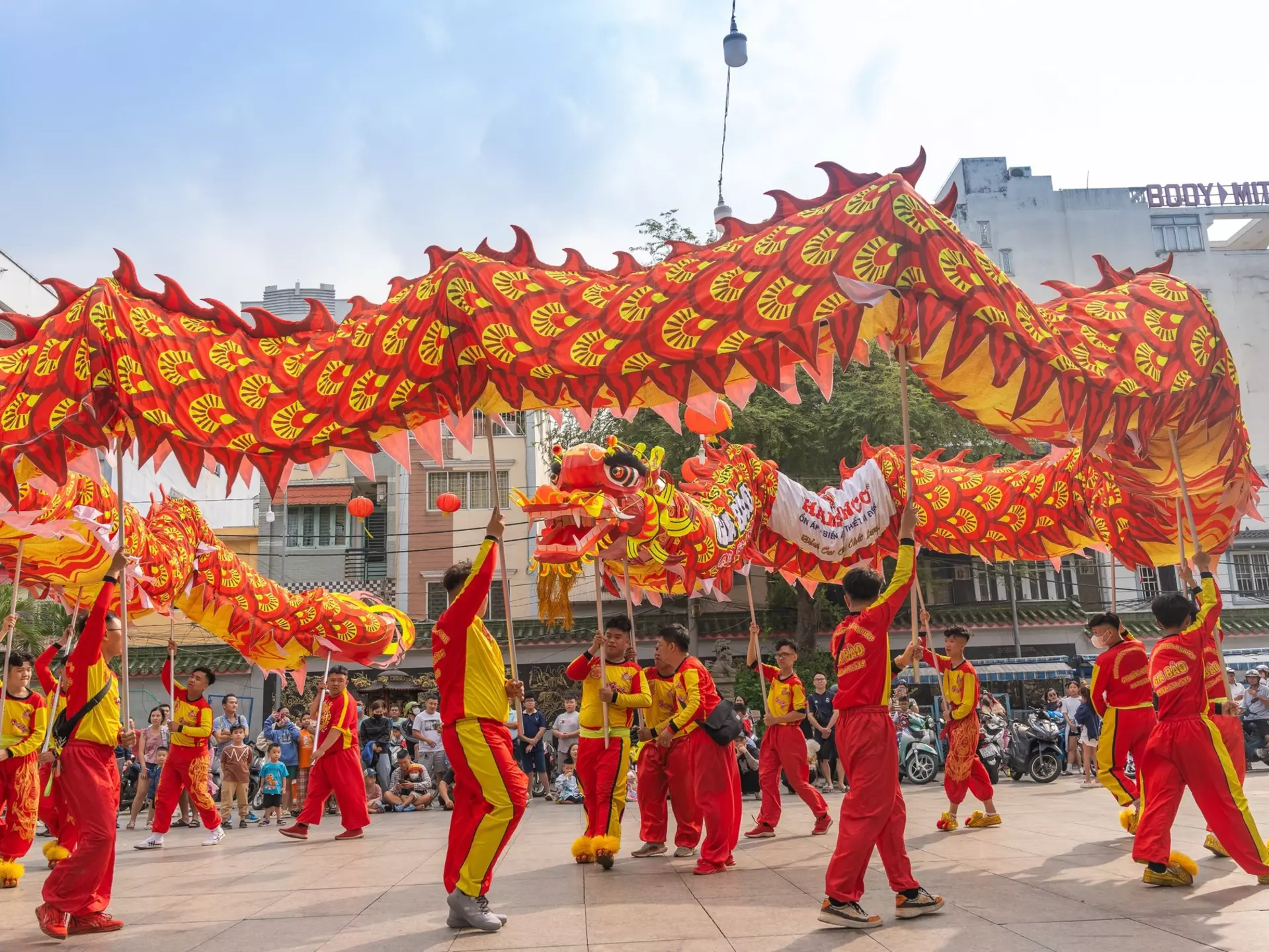 Dragon and lion dance show in the Tet festival in Vietnam.
