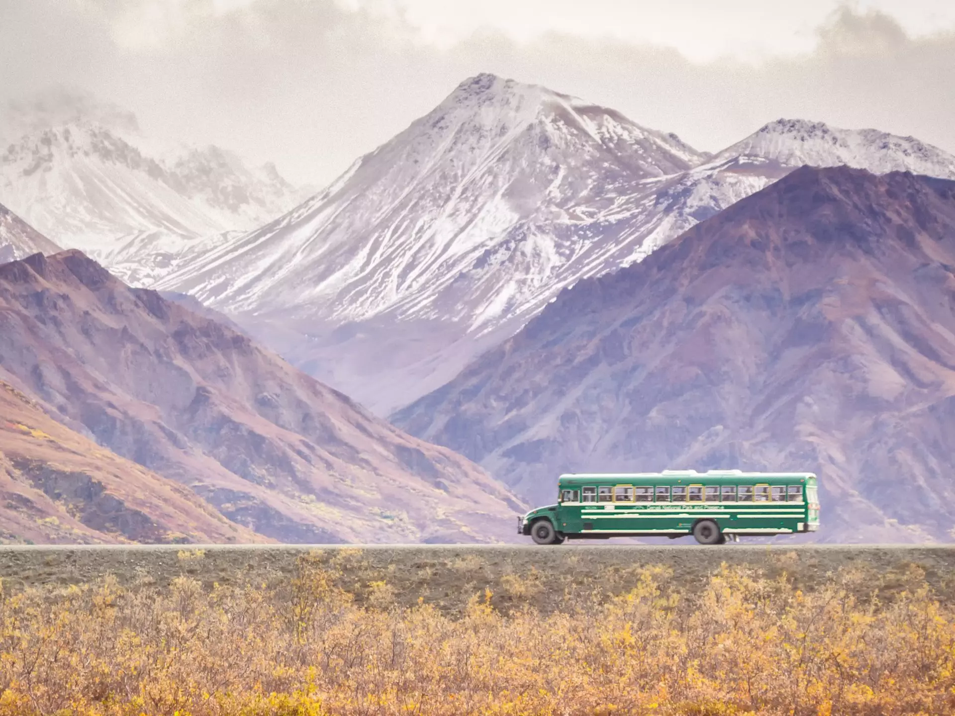 A green transit bus traveling through Denali National Park. Marcel Goldhardt/Shutterstock