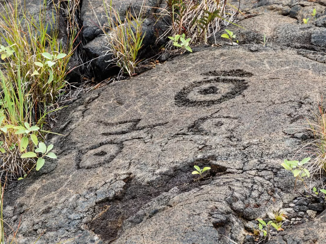 Petroglyphs in lava rock on an overcast day.