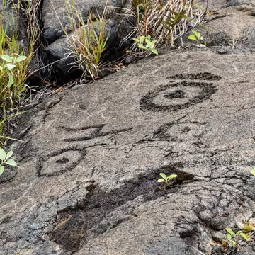 Petroglyphs in lava rock on an overcast day.