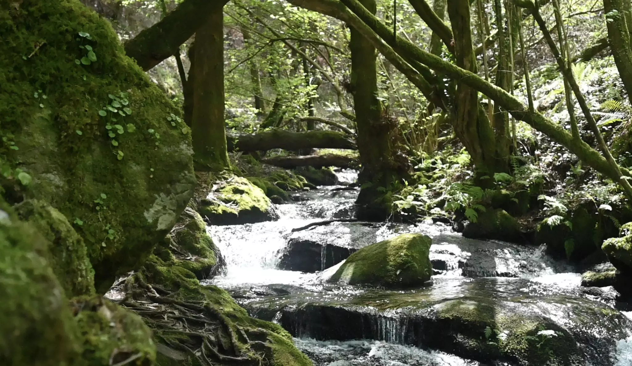 Route of Water and Stone Variante Espiritual Camino de Santiago © Joe Sills/Lonely Planet
