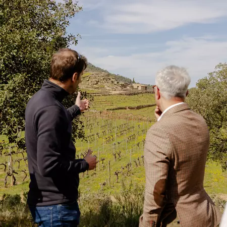 Two people in conversation about crops at a vineyard