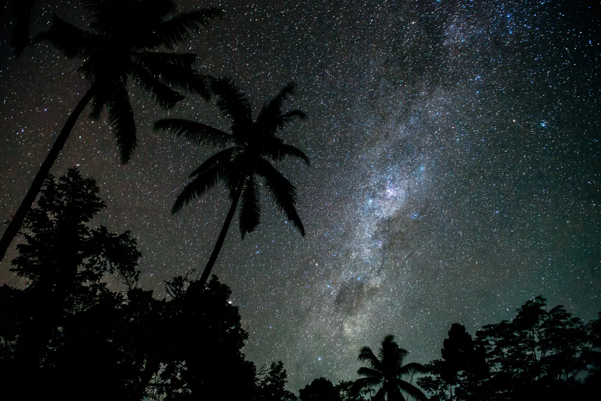 The Milky Way rises over palm trees in Ubud during Nyepi, Bali, Indonesia.