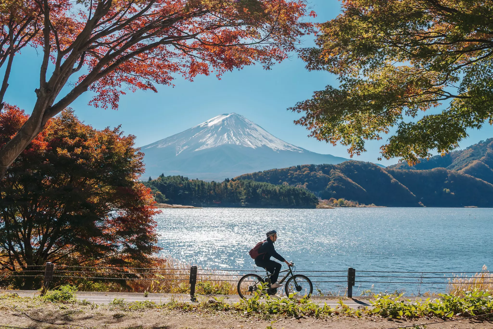 A cylist rides along a lakeside path with Mount Fuji in the distance on a sunny day.