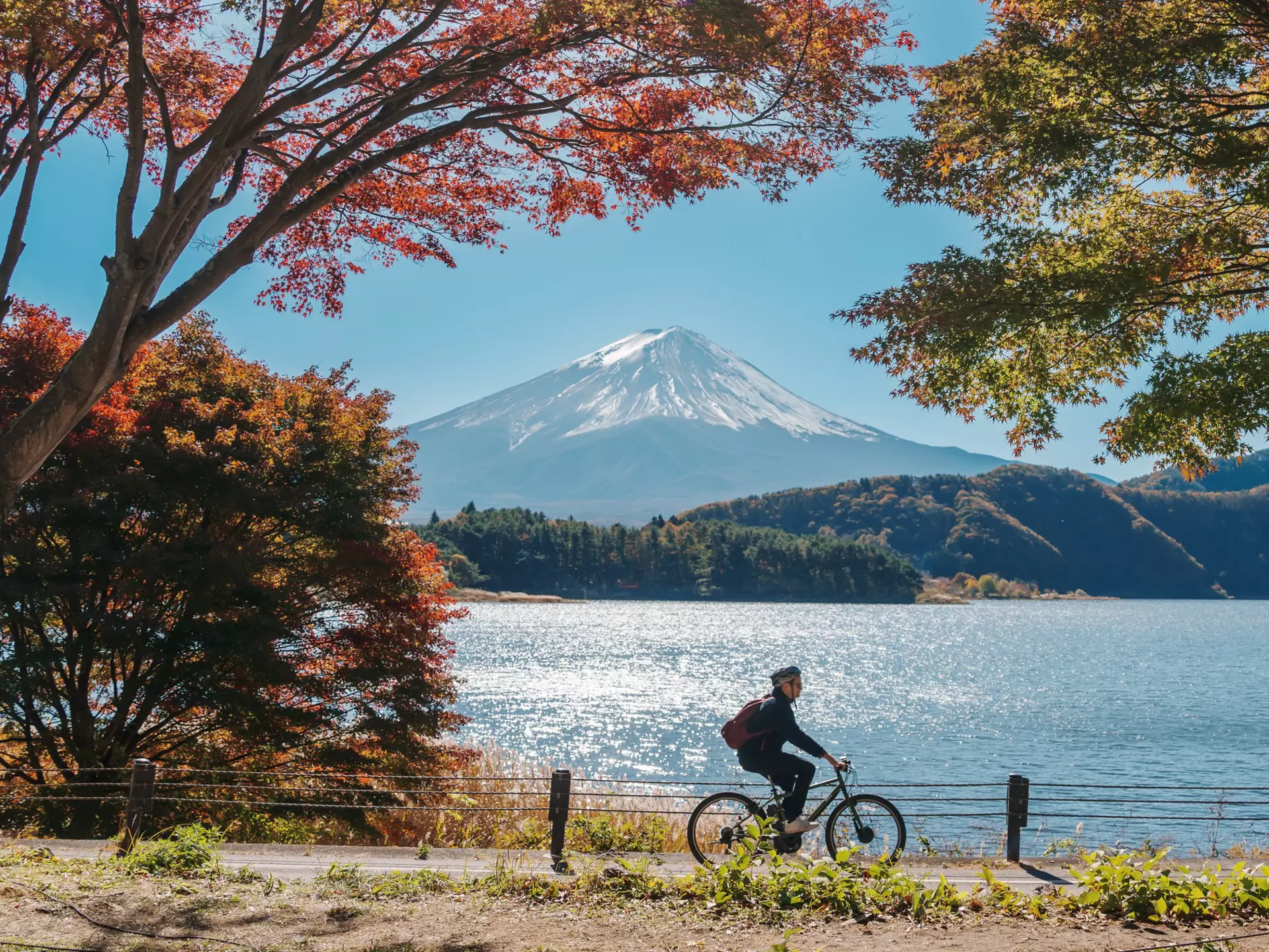 A cylist rides along a lakeside path with Mount Fuji in the distance on a sunny day.