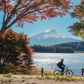 A cylist rides along a lakeside path with Mount Fuji in the distance on a sunny day.