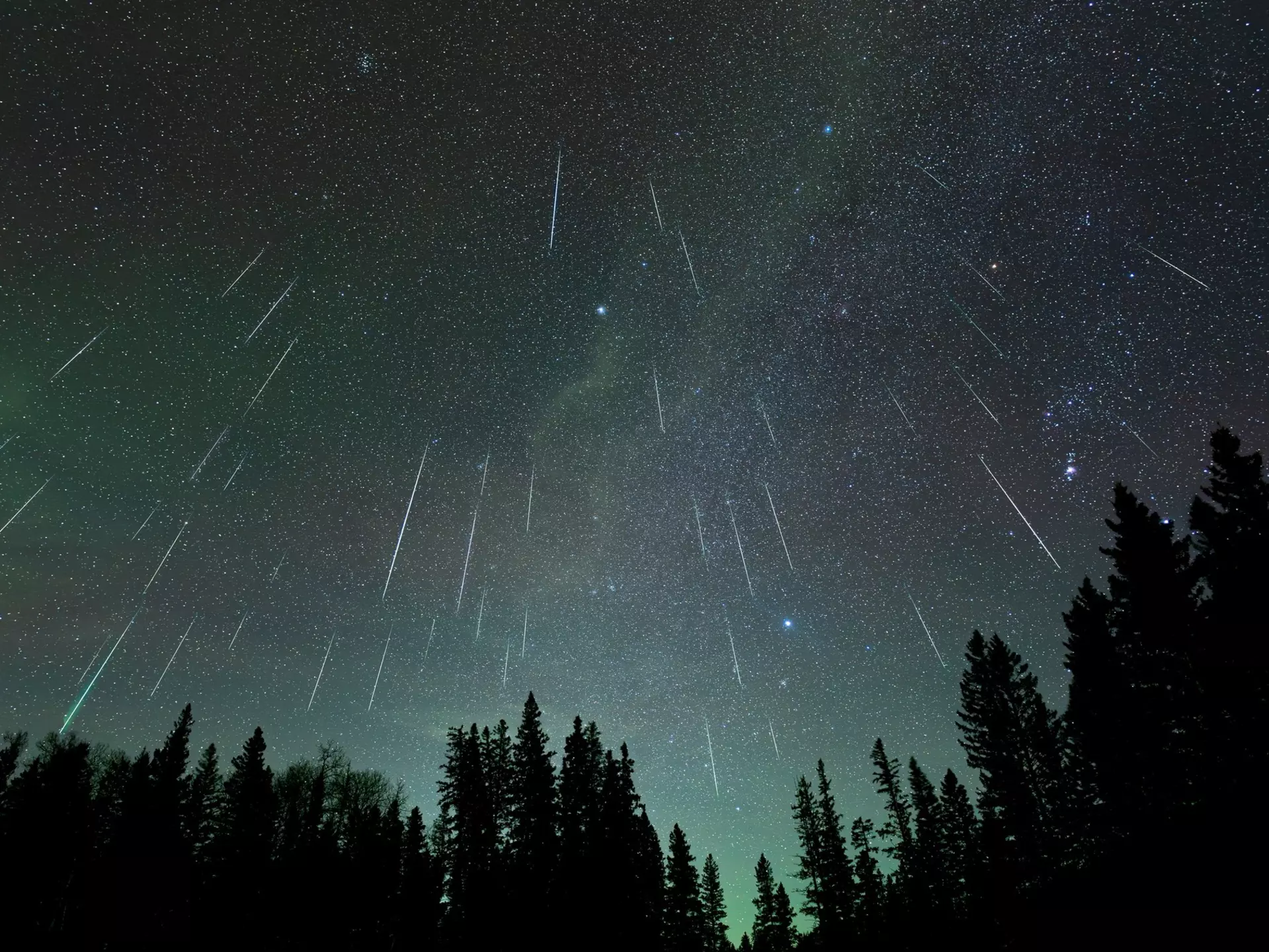 Meteor shower with 47 meteors falling through a star filled sky above a silhouette treeline of spruce and pine trees. The sky is pale green from a dis, License Type: media, Download Time: 2025-07-13T18:43:42.000Z, User: joe_lp, Editorial: false, purchase_order: 56500 - T&R or Kids, job: Global Publishing WIP, client: Let's Go Stargazing 1, other: Joe Fullman