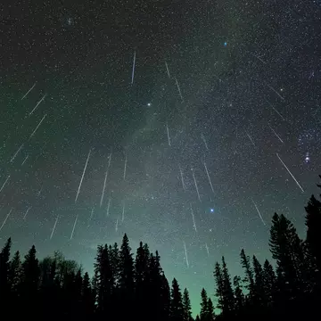 Meteor shower with 47 meteors falling through a star filled sky above a silhouette treeline of spruce and pine trees. The sky is pale green from a dis, License Type: media, Download Time: 2025-07-13T18:43:42.000Z, User: joe_lp, Editorial: false, purchase_order: 56500 - T&R or Kids, job: Global Publishing WIP, client: Let's Go Stargazing 1, other: Joe Fullman