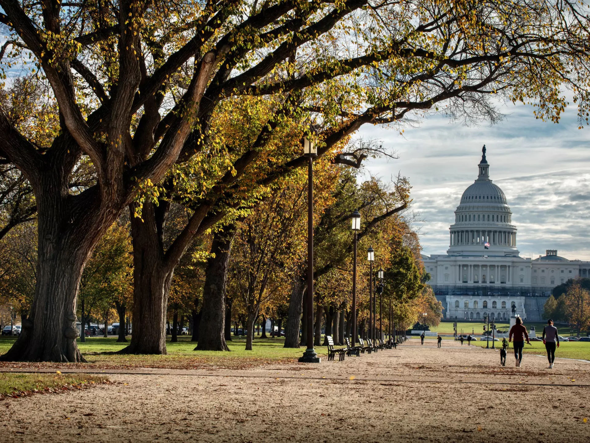 Get to know Washington, DC, with this walking tour along the National Mall. Getty Images
