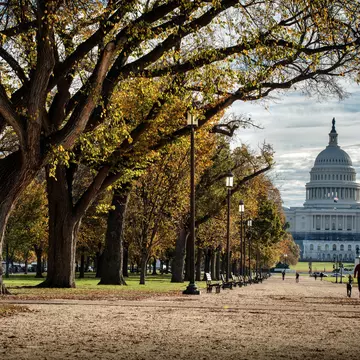 Get to know Washington, DC, with this walking tour along the National Mall. Getty Images