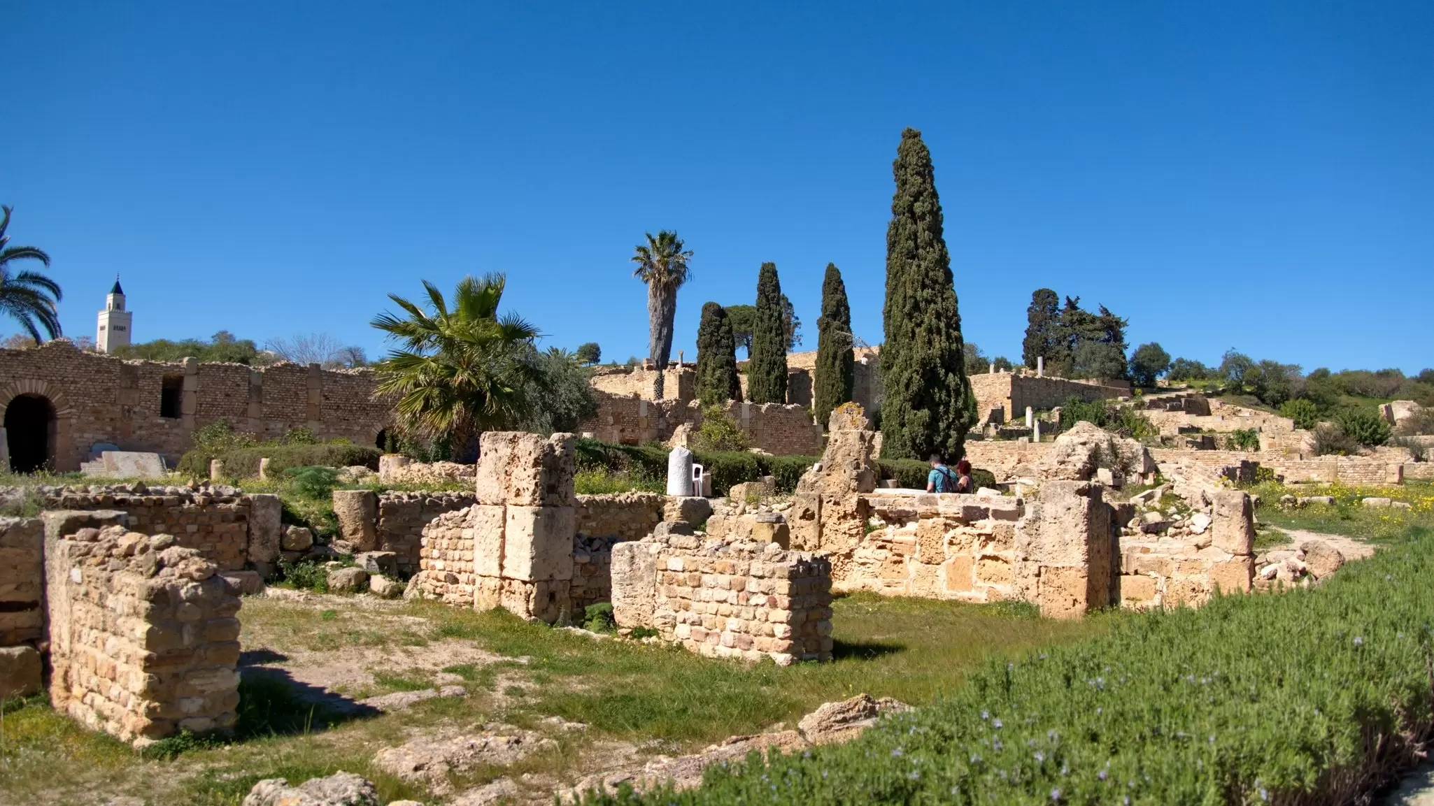 See the ruins of ancient Carthage, in Tunis, Tunisia. Angela N Perryman/Shutterstock