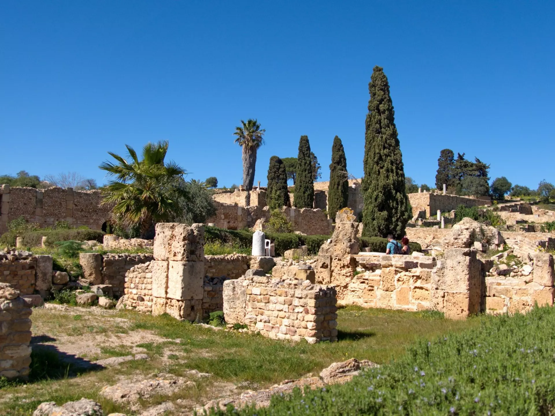 See the ruins of ancient Carthage, in Tunis, Tunisia. Angela N Perryman/Shutterstock