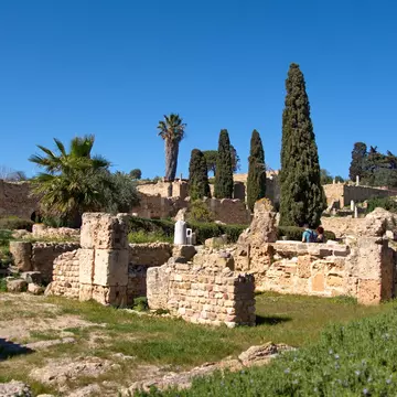 See the ruins of ancient Carthage, in Tunis, Tunisia. Angela N Perryman/Shutterstock