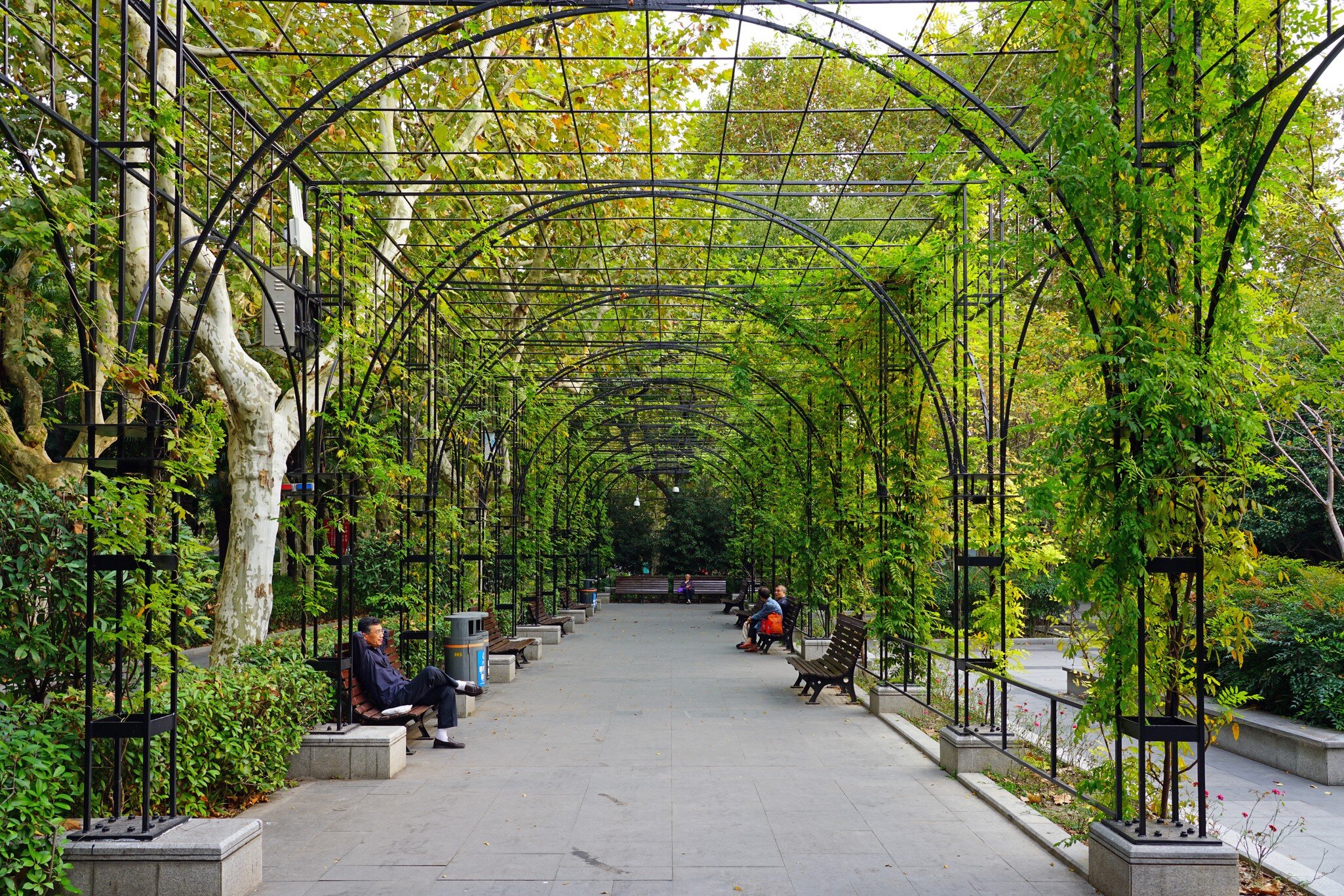 SHANGHAI, CHINA -27 OCT 2018- View of Fuxing Park,  a landmark urban park located in the former French Concession of Shanghai, China, in Luwan District near Nanchang Road., License Type: media, Download Time: 2025-03-10T19:57:02.000Z, User: dermothegarty77, Editorial: true, purchase_order: 56530 - Guidebooks, job: Global Publishing WI, client:  China 17, other: Dermot Hegarty