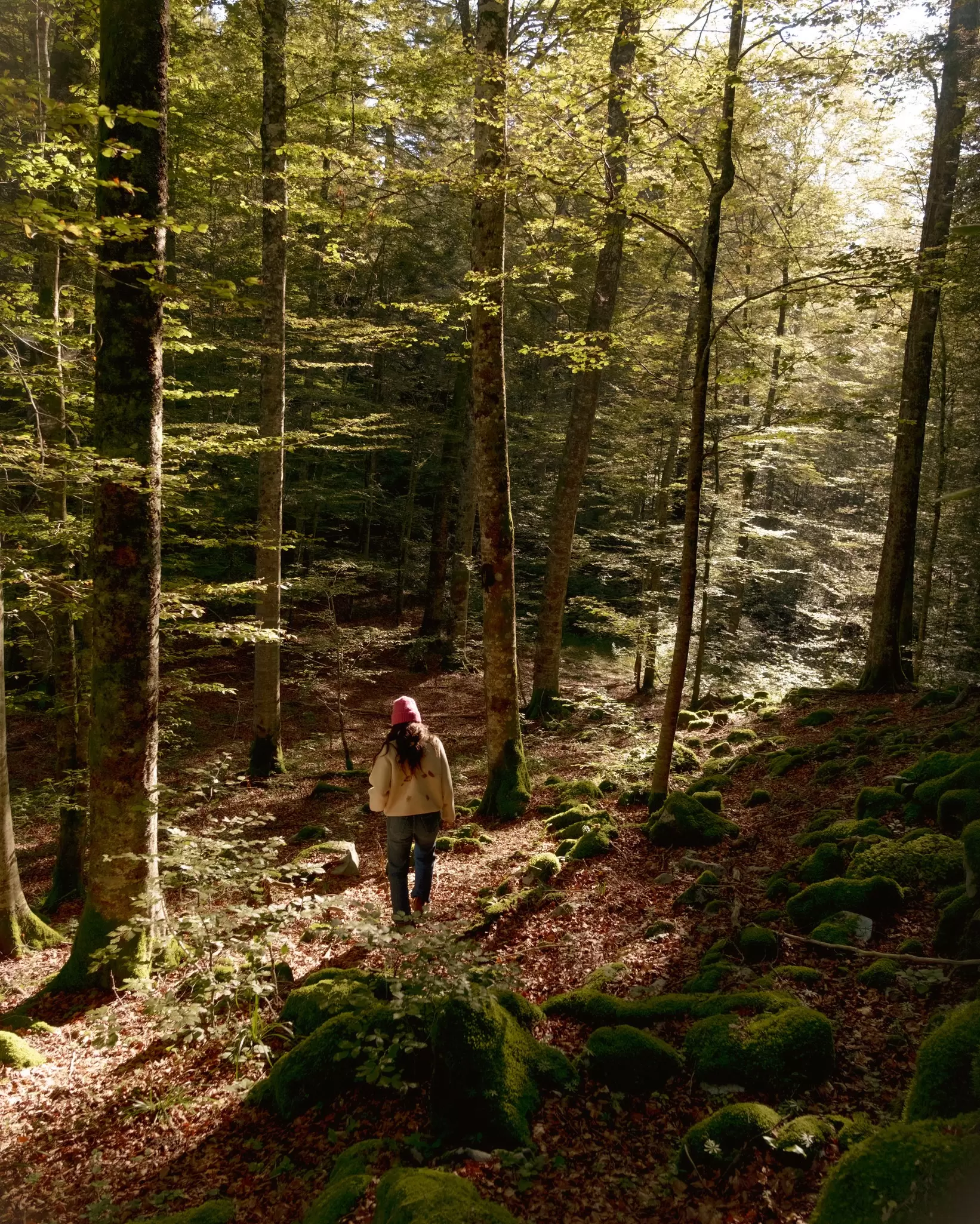 experiencing a forest detox in Kocevsko, Slovenia, September 2026
Kočevje, Slovenia, September 2026.