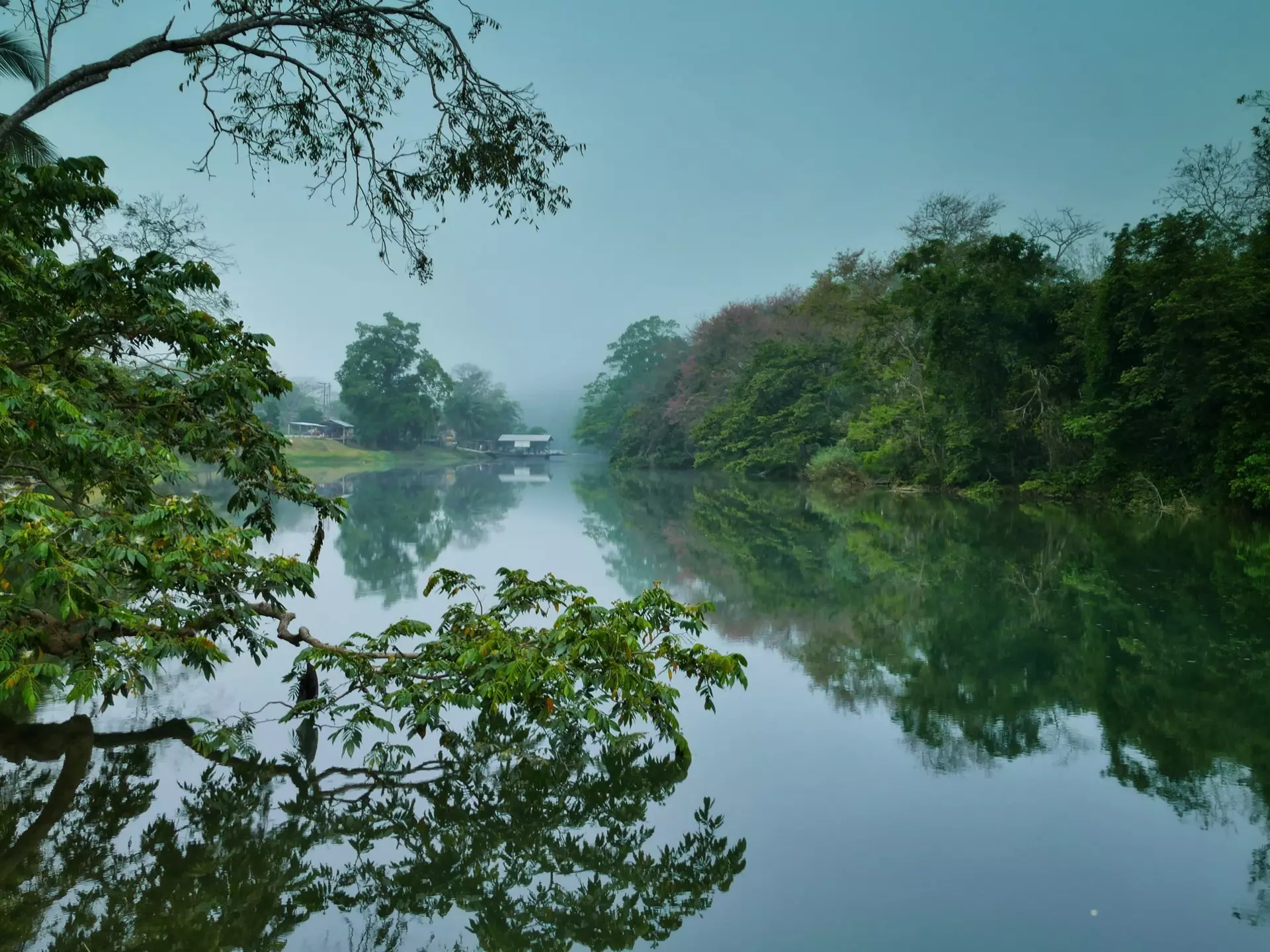A calm, misty river with lush forest on either side; the trees are reflected in the water.