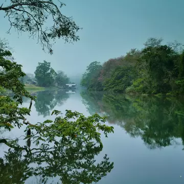 A calm, misty river with lush forest on either side; the trees are reflected in the water.