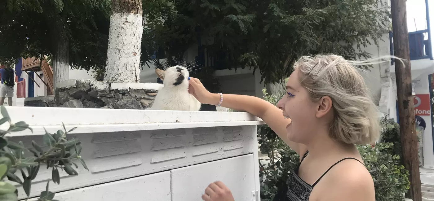 A tourist stops to stroke a cat