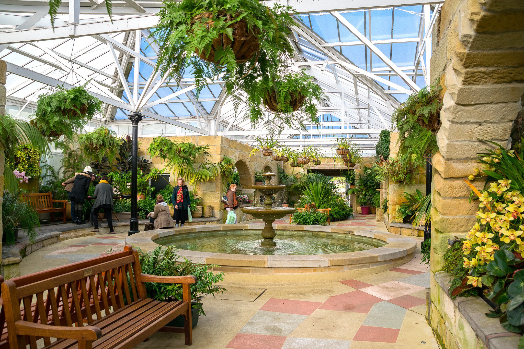 Interior of the conservatory in Royal Tasmanian Botanical Gardens. Hobart, Tasmania, Australia.