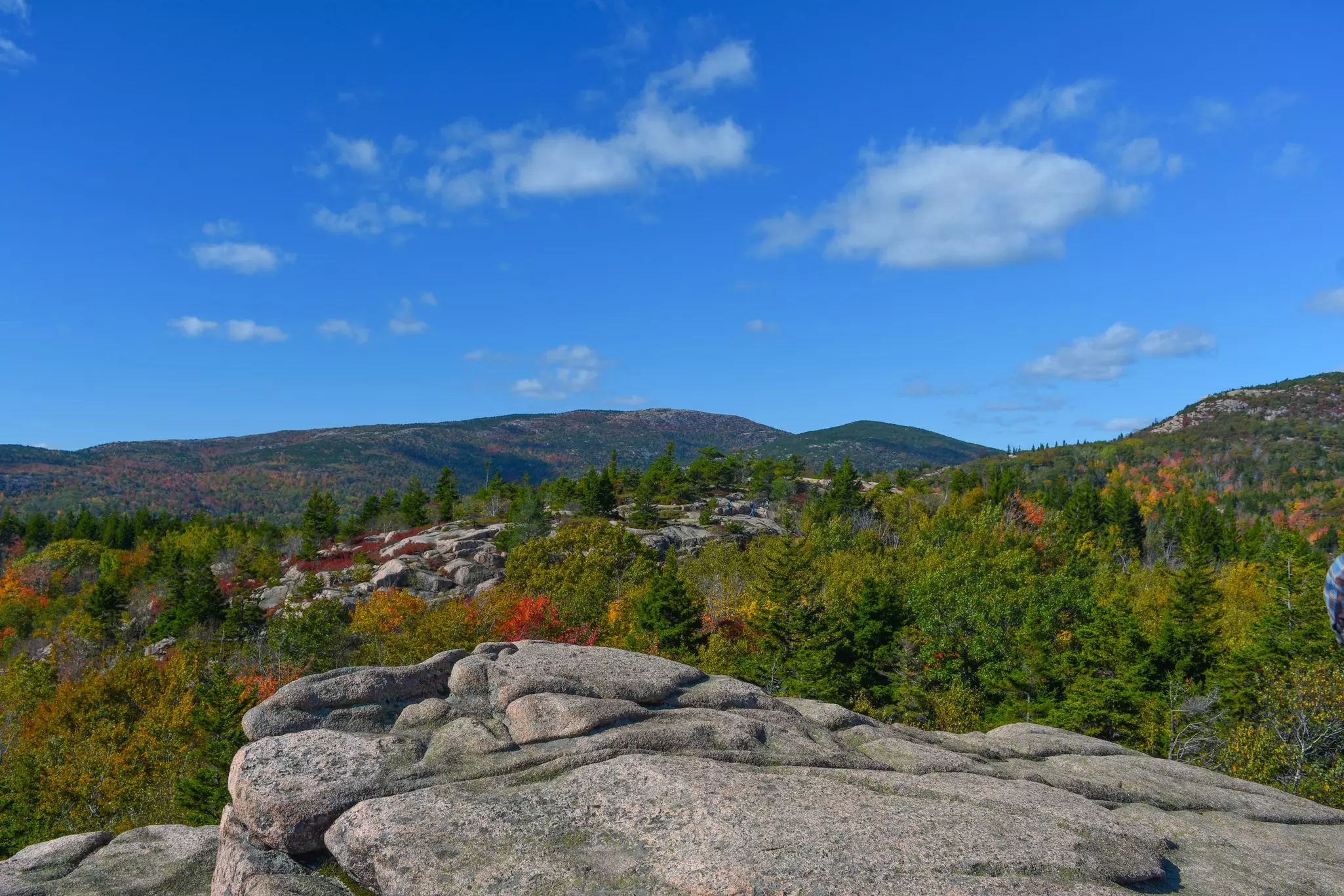 Fall View from Beehive Hike in Acadia National Park