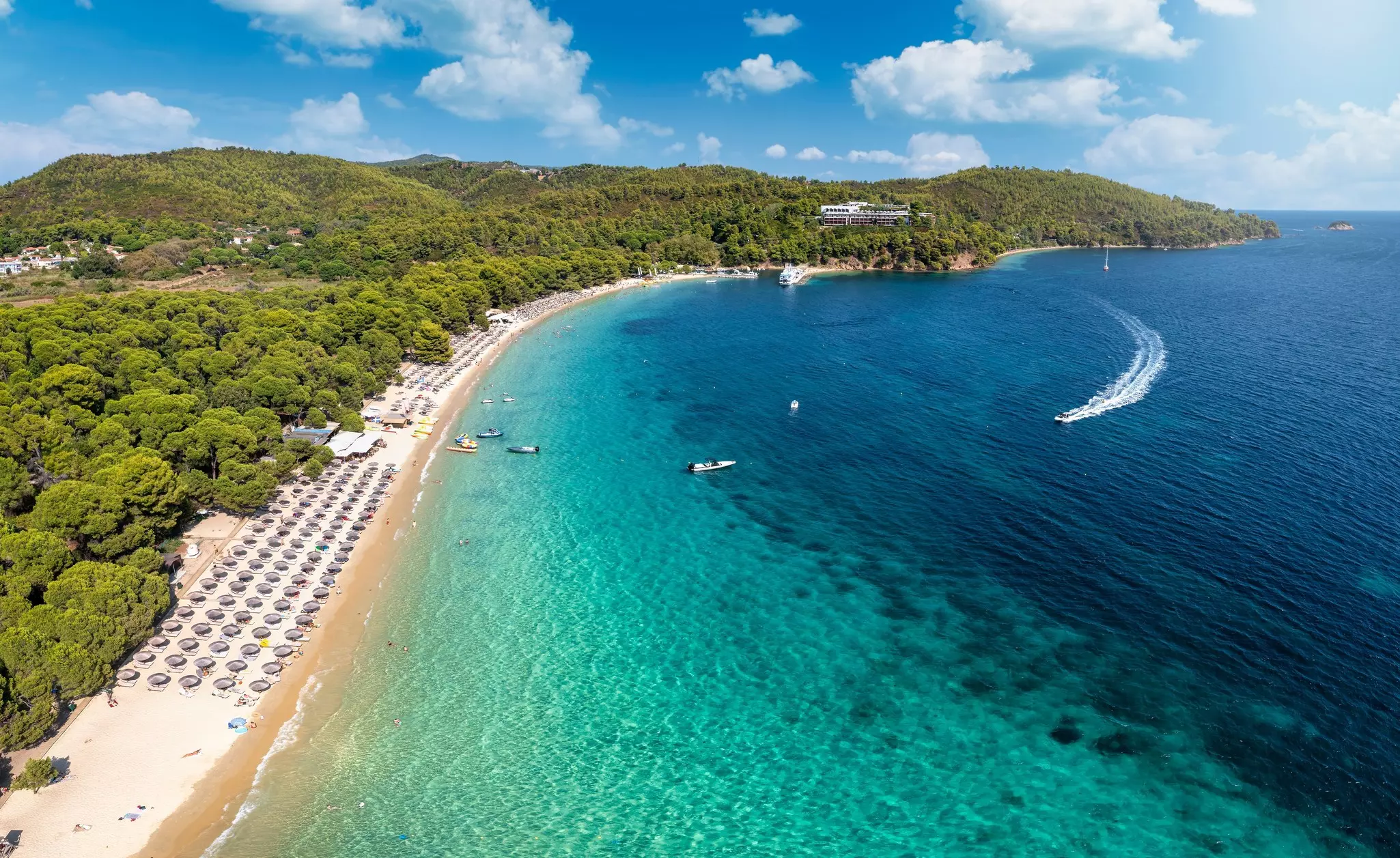 An aerial view of blue waters lapping a beach with umbrellas. A forest lies just inland, and the wake of a motorboat is visible in the water.