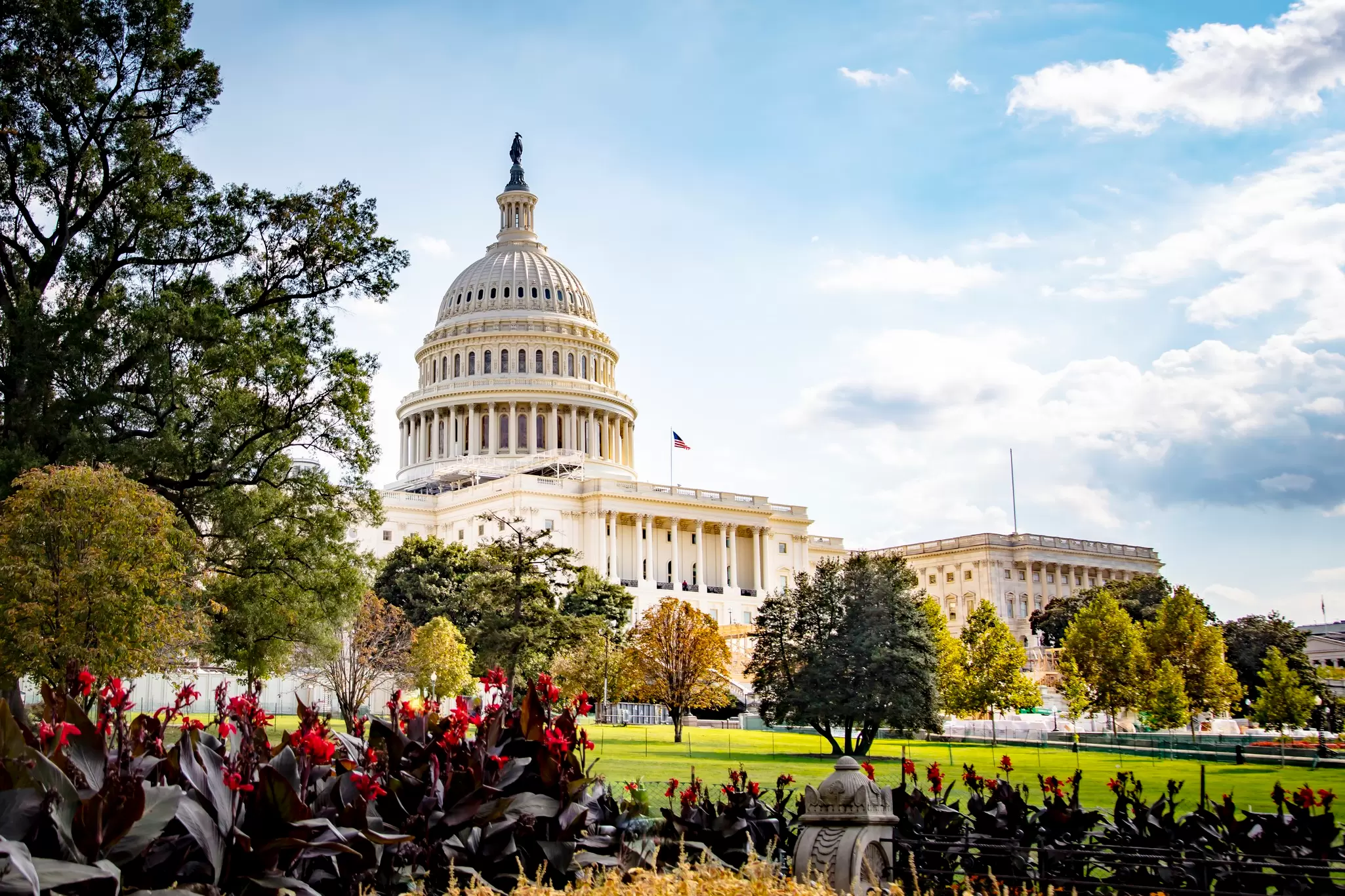 Washington D.C. boasts hundreds of city parks, more than a dozen public gardens, and miles of bike lanes, paths and woodsy trails © Mike Kline / Getty Images