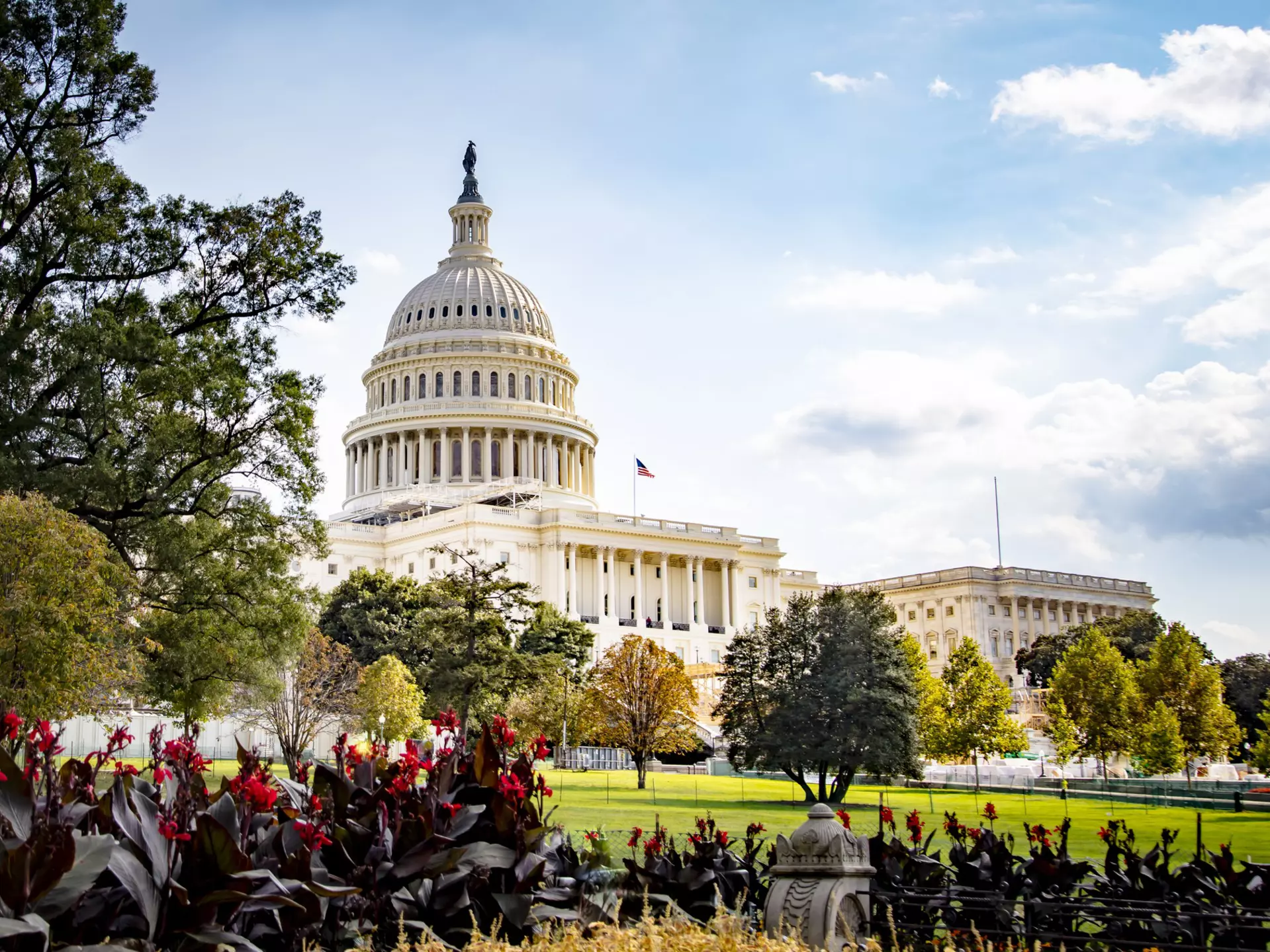 Washington D.C. boasts hundreds of city parks, more than a dozen public gardens, and miles of bike lanes, paths and woodsy trails © Mike Kline / Getty Images