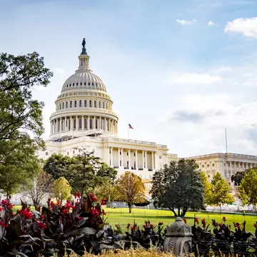 Washington D.C. boasts hundreds of city parks, more than a dozen public gardens, and miles of bike lanes, paths and woodsy trails © Mike Kline / Getty Images