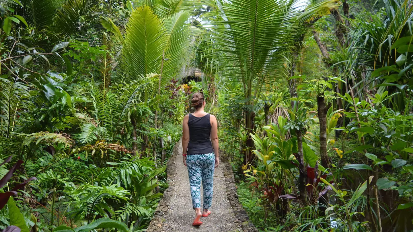A woman walks down a jungle boardwalk in Guatemala