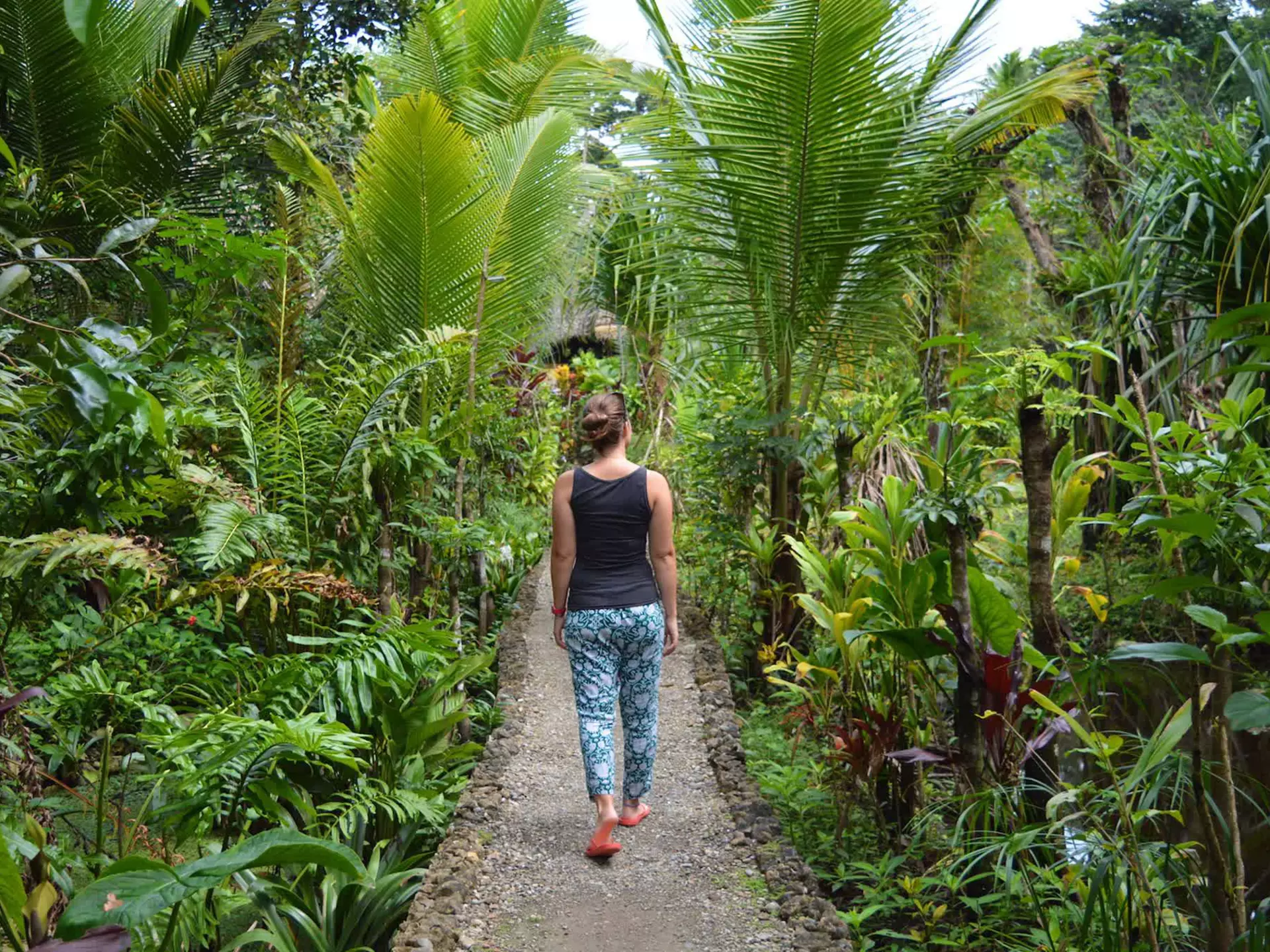 A woman walks down a jungle boardwalk in Guatemala