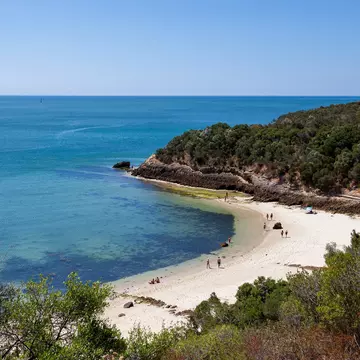 canto-le27mq0e - Praia de Galapinhos, Portugal. Ludovic des Cognets/Shutterstock