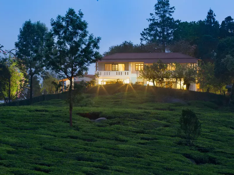 Windermere Estate, Munnar, Kerala