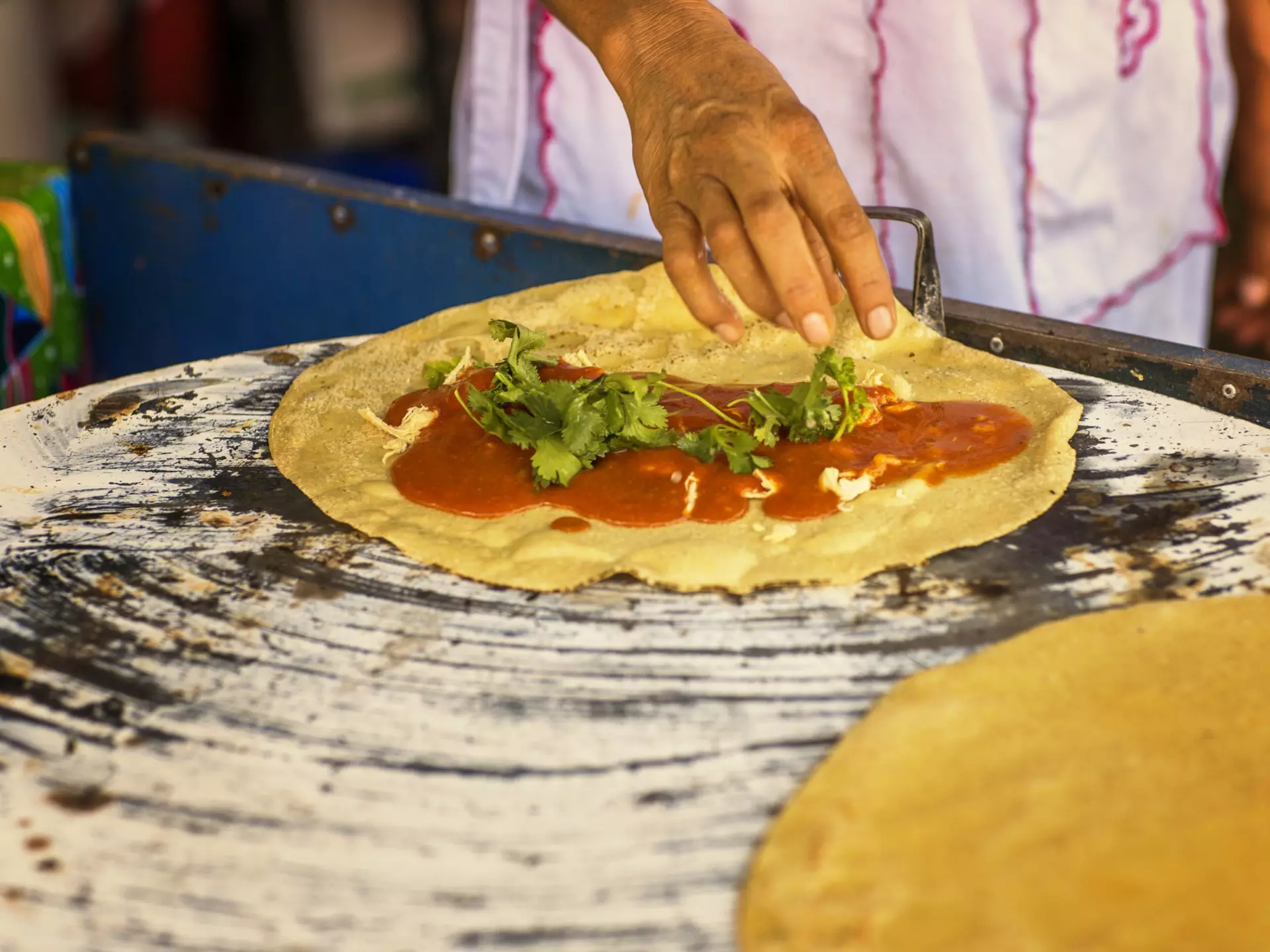 A chef's hand making a quesadilla with yellow mole (mole amarillo) from the Mexican state of Oaxaca