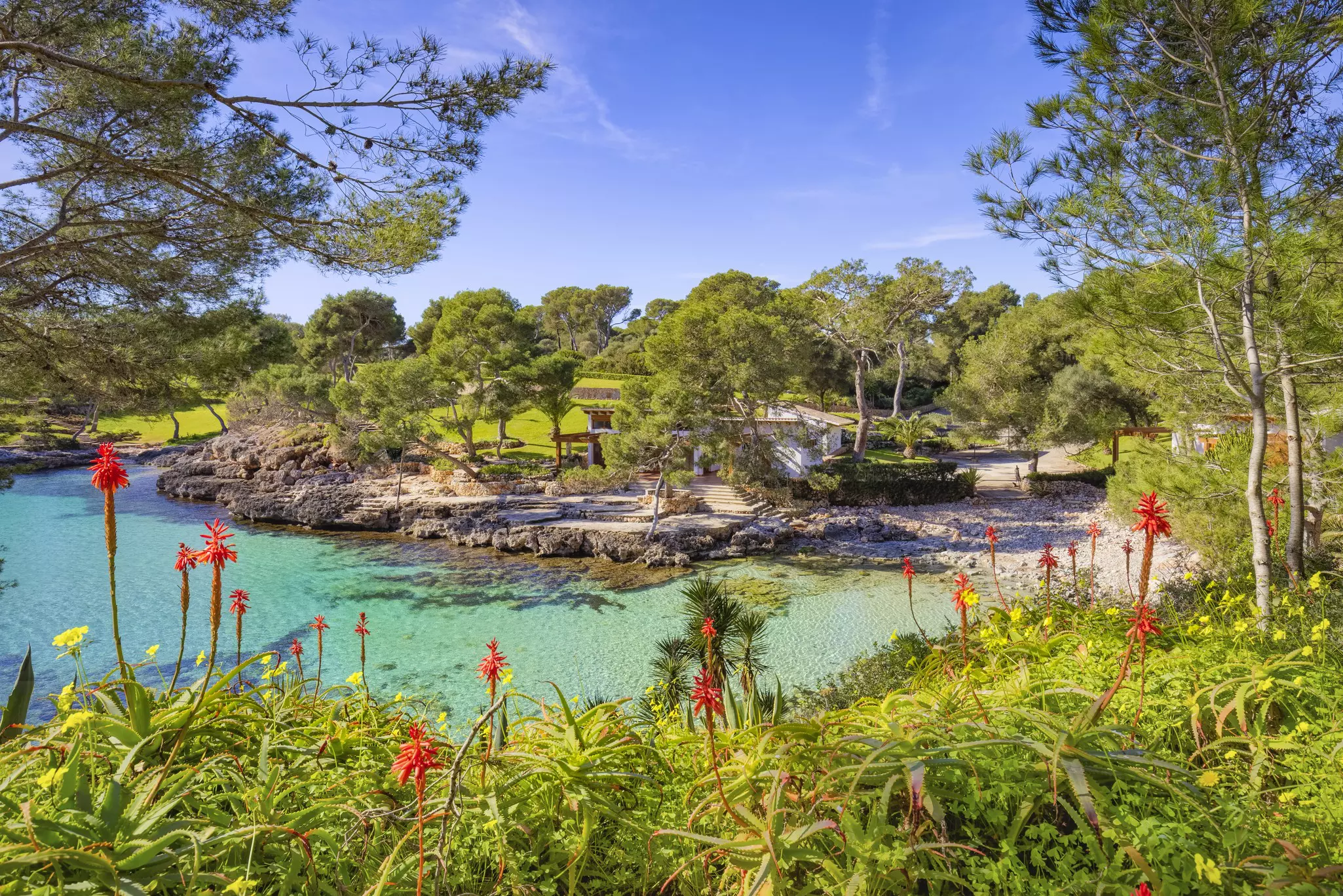 Cala Mitjana is two kilometers from Cala dâ€™Or. This beautiful inlet with its narrow mouth is divided into two arms; the left one penetrates 70 meters into the country and then becomes a small rocky bay without a beach, while the right one runs out into a fine sandy white beach of 20 meters after a 120 meter indentation into the country; it is beautiful, quiet, inviting and lies between rocks, pines and bushes that hide an urbanization hidden to the open sea, and is difficult to reach via complicated routes.
Cala Mitjana is two kilometers from Cala d’Or. This beautiful inlet with its narrow mouth is divided into two arms; the left one penetrates 70 meters into the country and then becomes a small rocky bay without a beach, while the right one runs out into a fine sandy white beach of 20 meters after a 120 meter indentation into the country; it is beautiful, quiet, inviting and lies between rocks, pines and bushes that hide an urbanization hidden to the open sea, and is difficult to reach via complicated routes.
1210586774
Small bay Cala Mitjana near by Felanitx on the Spanish Balearic island of Majorca - Spain - stock photo
Cala Mitjana is two kilometers from Cala d’Or. This beautiful inlet with its narrow mouth is divided into two arms; the left one penetrates 70 meters into the country and then becomes a small rocky bay without a beach, while the right one runs out into a fine sandy white beach of 20 meters after a 120 meter indentation into the country; it is beautiful, quiet, inviting and lies between rocks, pines and bushes that hide an urbanization hidden to the open sea, and is difficult to reach via complicated routes.