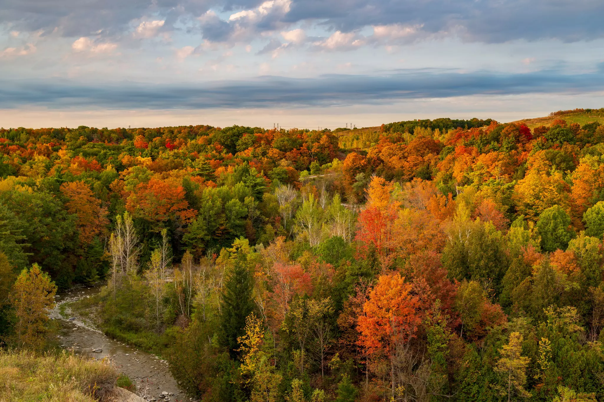 An aerial view of red, orange, yellow and green trees in a park in Ontario, Canada.