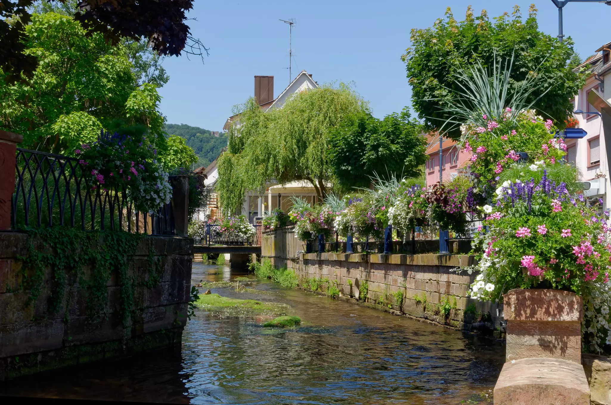 A river in a tranquil spa town, lined with flower boxes