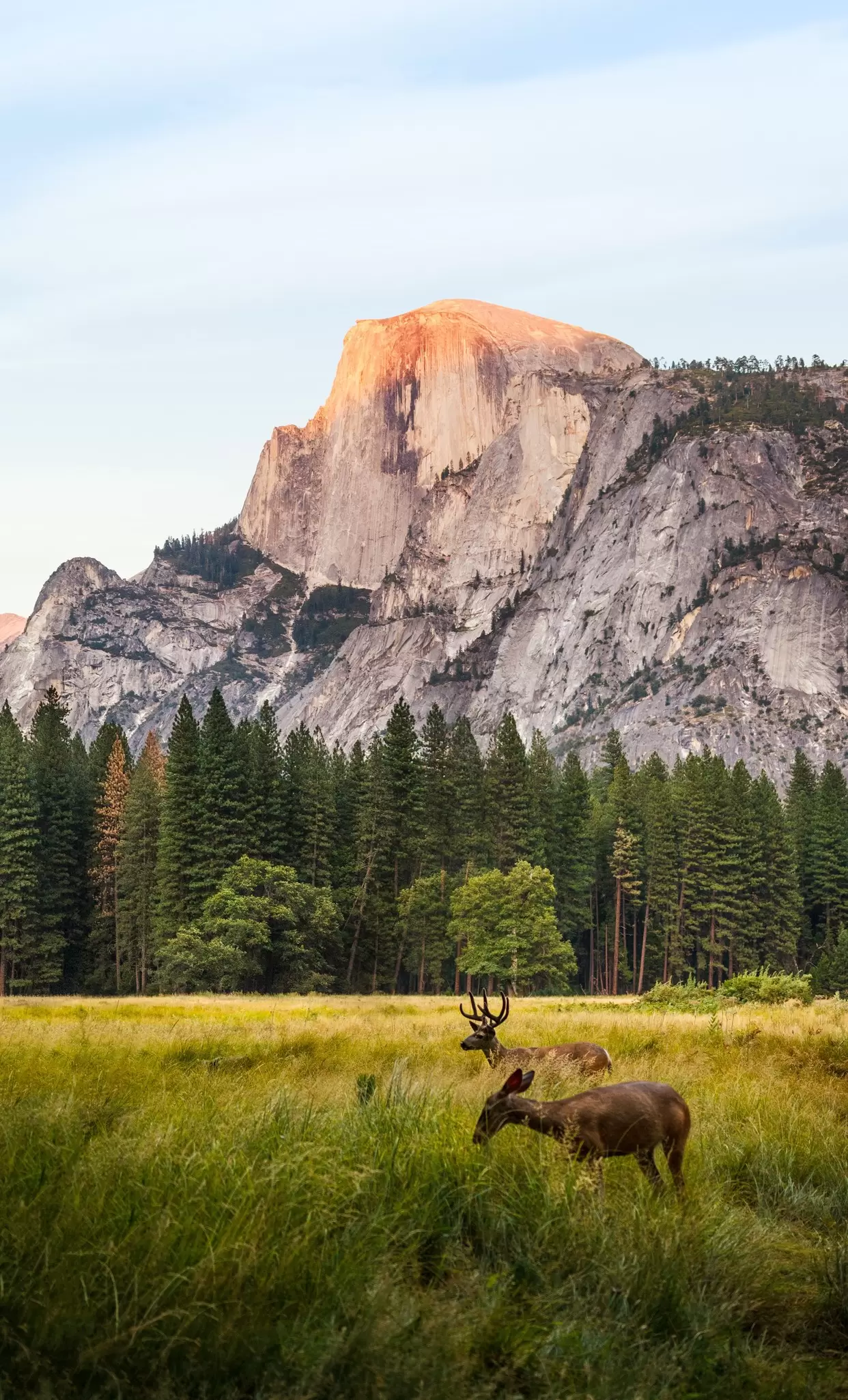 A jaw-dropping view of Yosemite Valley.