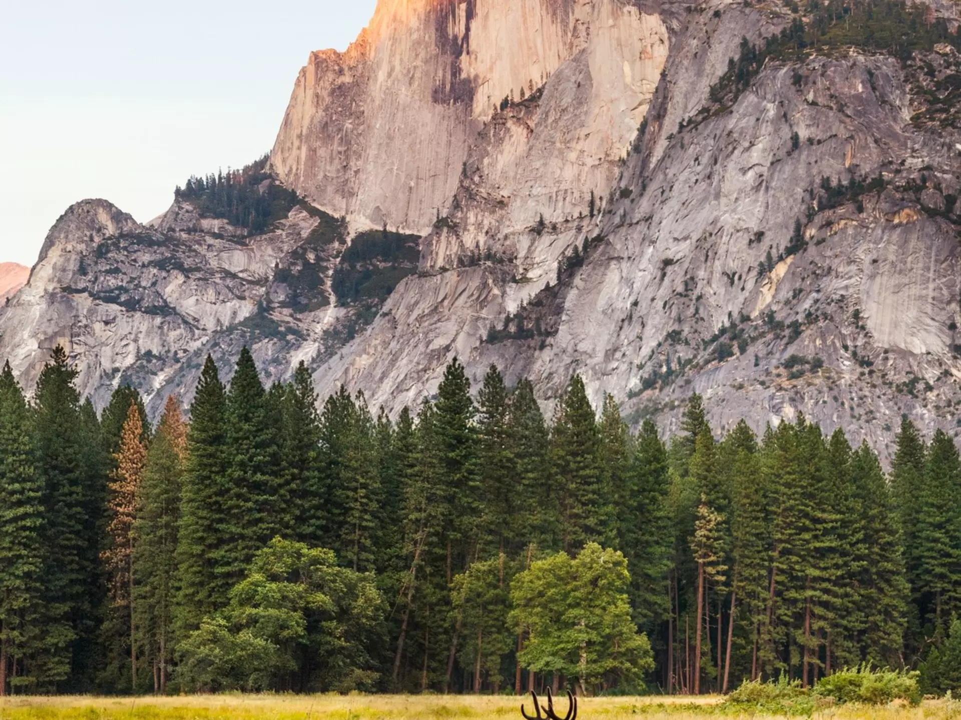 A jaw-dropping view of Yosemite Valley.