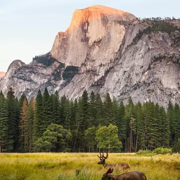 A jaw-dropping view of Yosemite Valley.