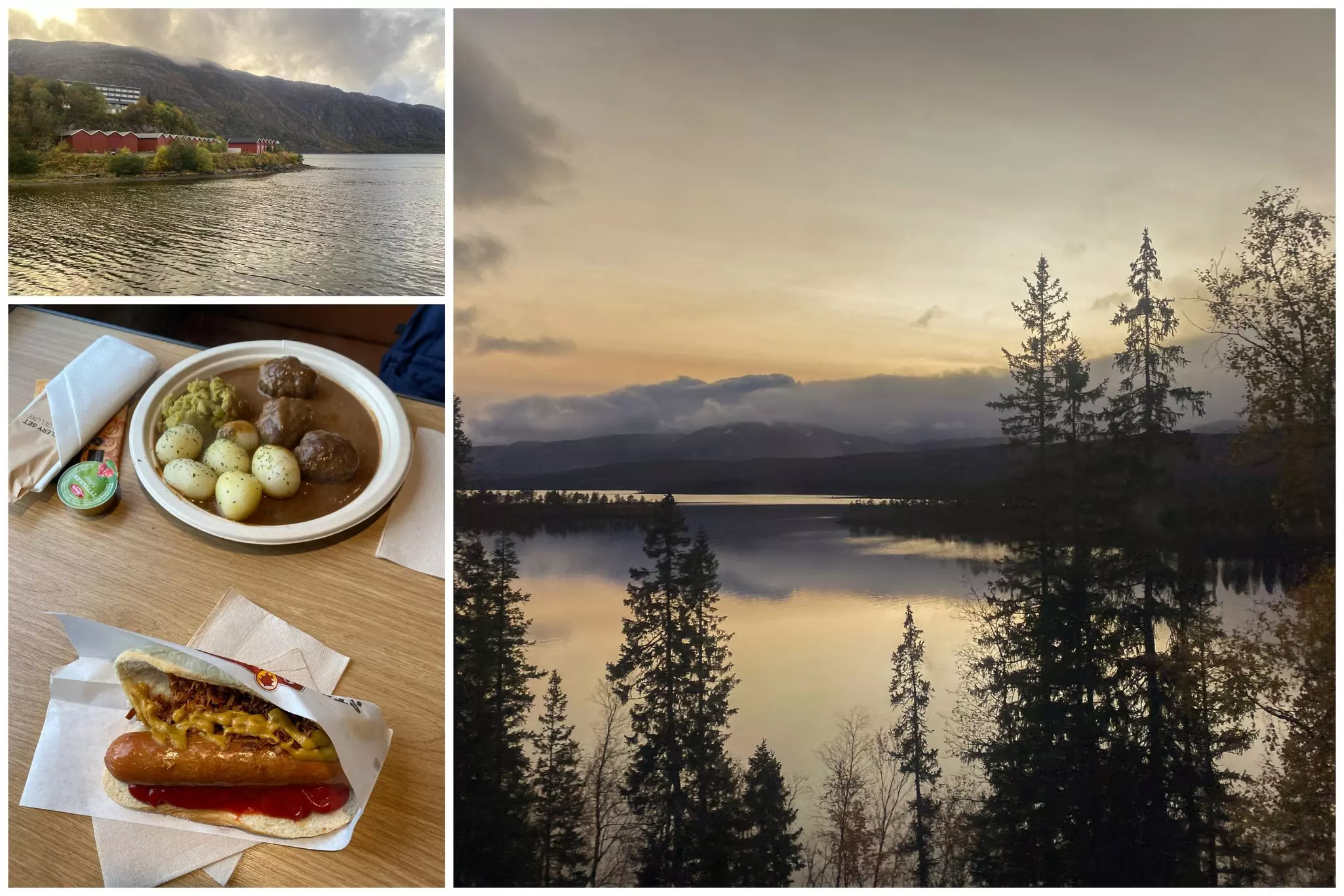 Tradtional meatballs, hot dogs, and pricey beers are available in the restaurant cart on the train to Trondheim © Daniel James Clarke