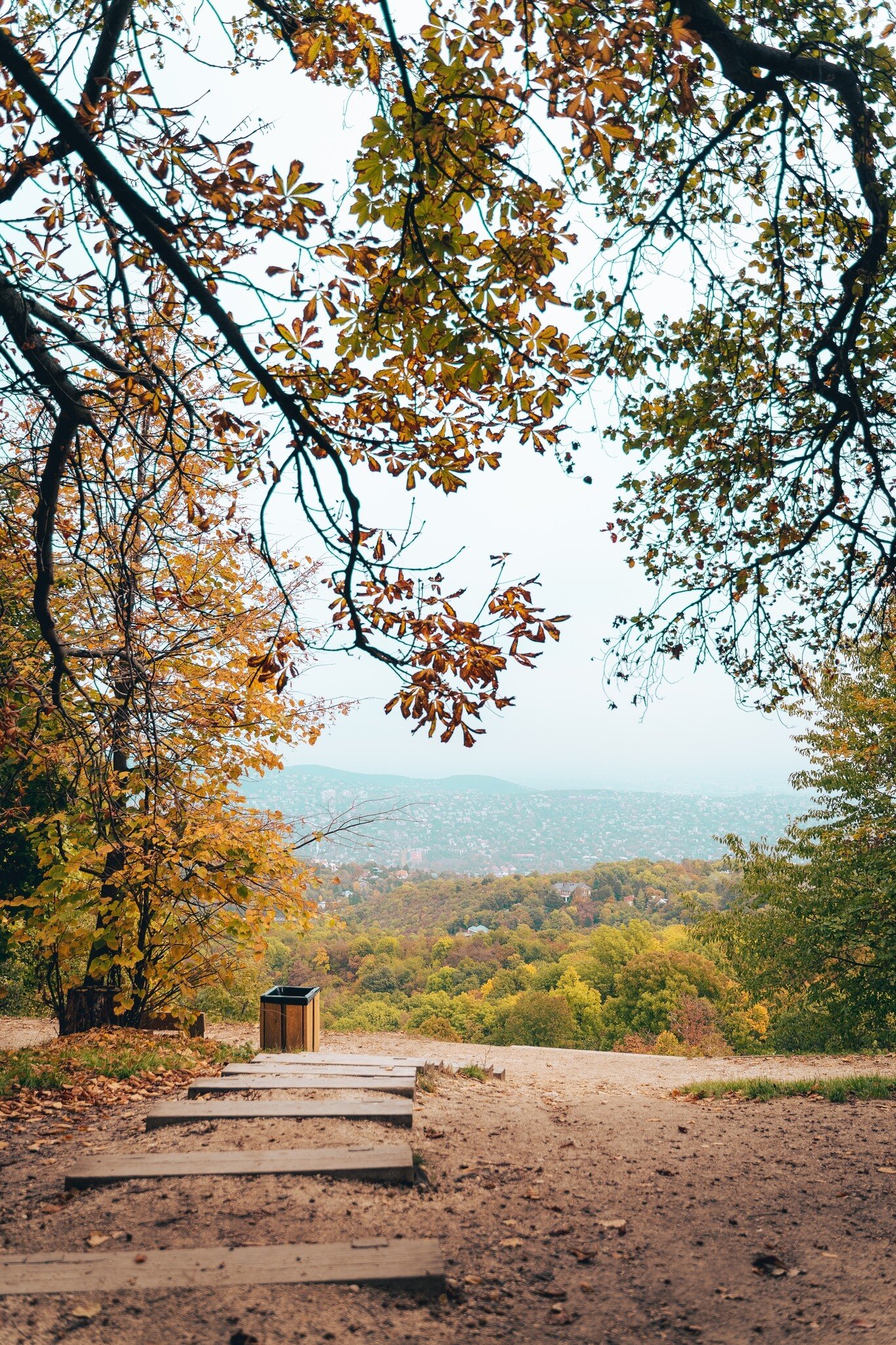 View of Normafa Park in autumn in Budapest, Hungary.