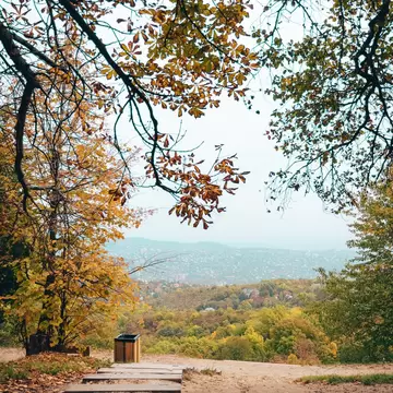 View of Normafa Park in autumn in Budapest, Hungary.