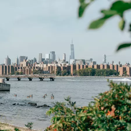 City skyline view from a waterfront park in New York 