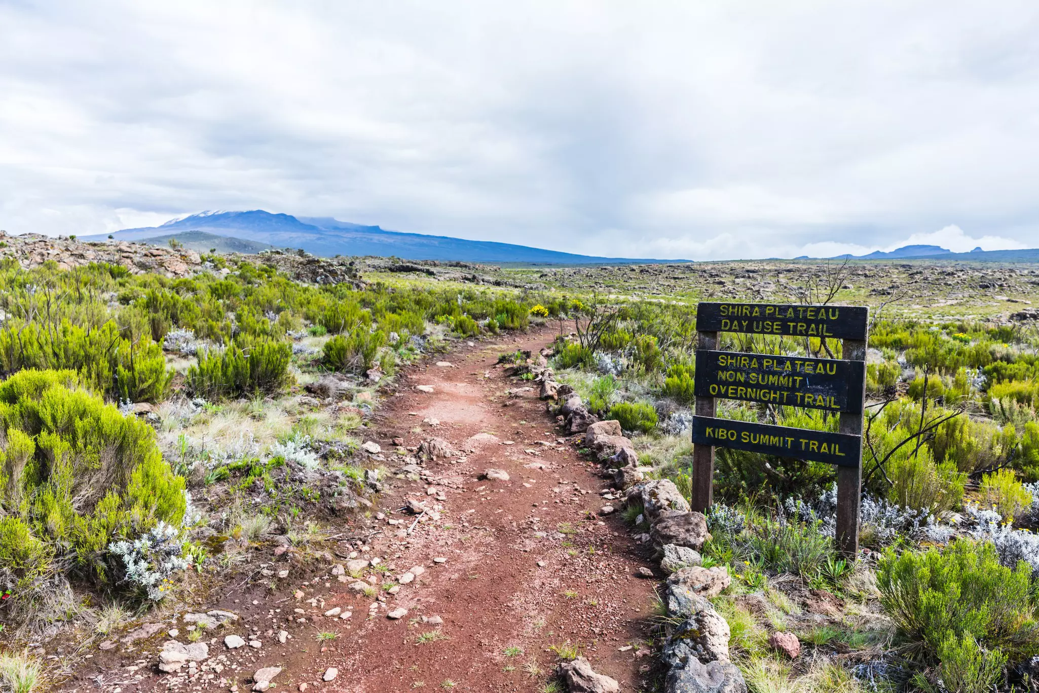 View from the most scenic trail on Mt Kilimanjaro