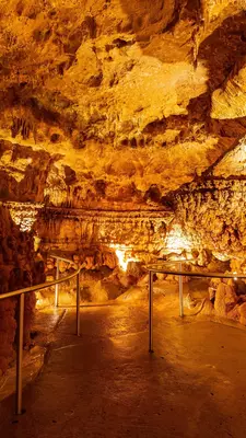 An cave illuminated by spotlights reveals countless stalactites and stalagmintes.