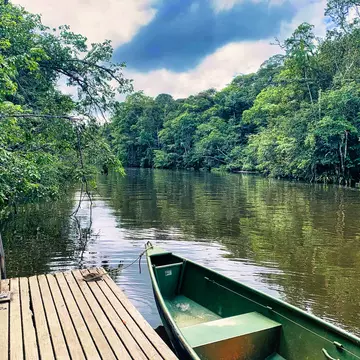 A small canoe near a wooden dock at the edge of a wide river surrounded by trees.