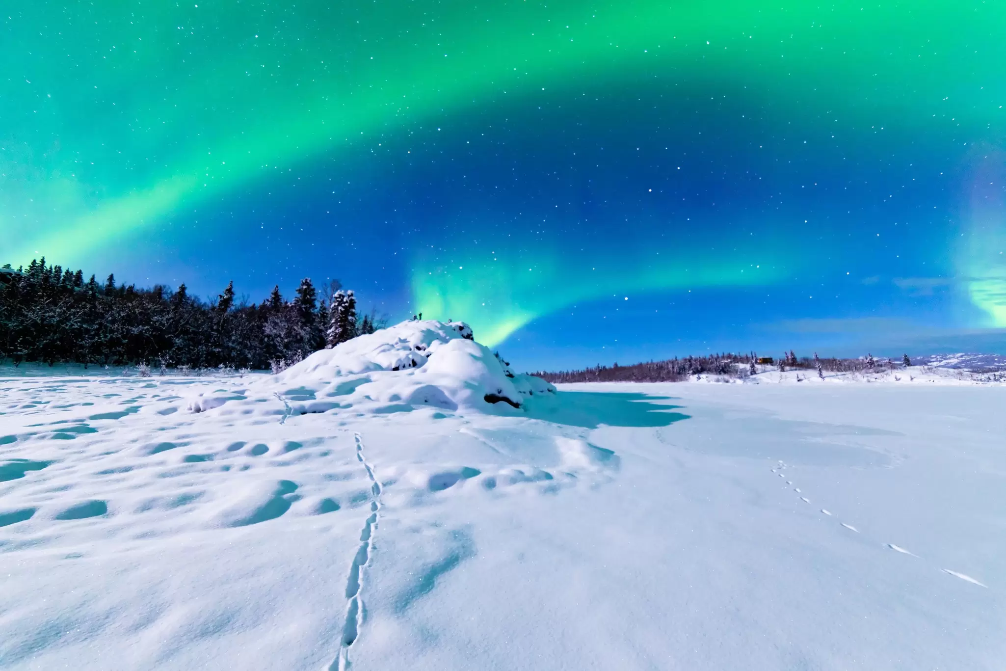 Green swirls of light fill the night sky over a snowy remote landscape: The northern lights over Yukon, Canada. 
